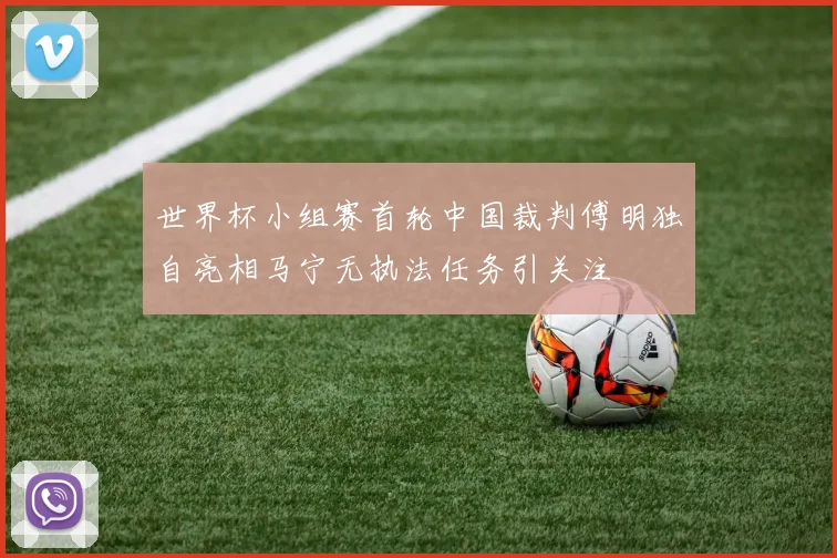世界杯小组赛首轮中国裁判傅明独自亮相马宁无执法任务引关注