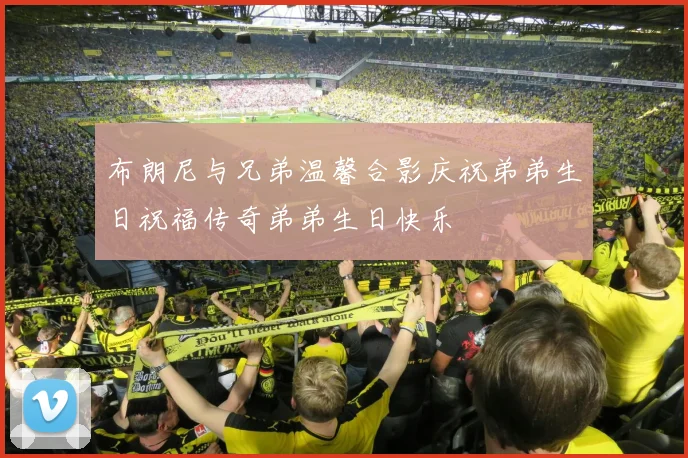 布朗尼与兄弟温馨合影庆祝弟弟生日祝福传奇弟弟生日快乐