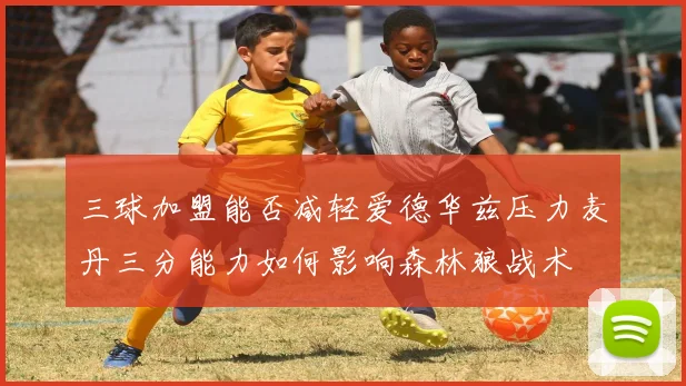 三球加盟能否减轻爱德华兹压力麦丹三分能力如何影响森林狼战术